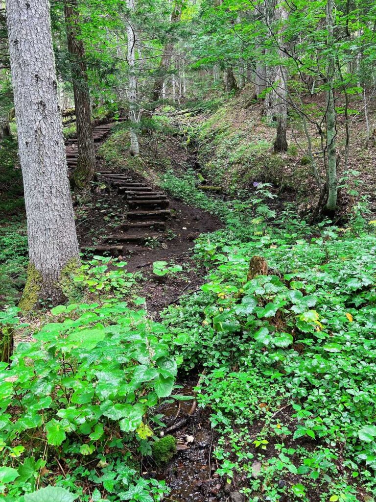 滑りやすい階段