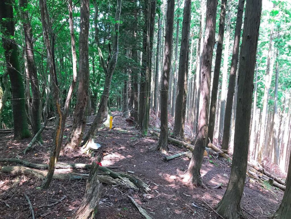 ここから / 右に☝️ / 間違えやすいっす