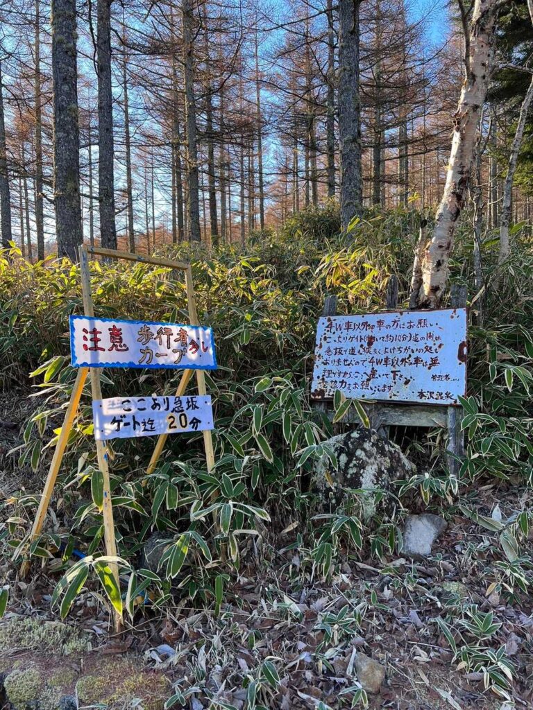 道中の様子（要目視確認）