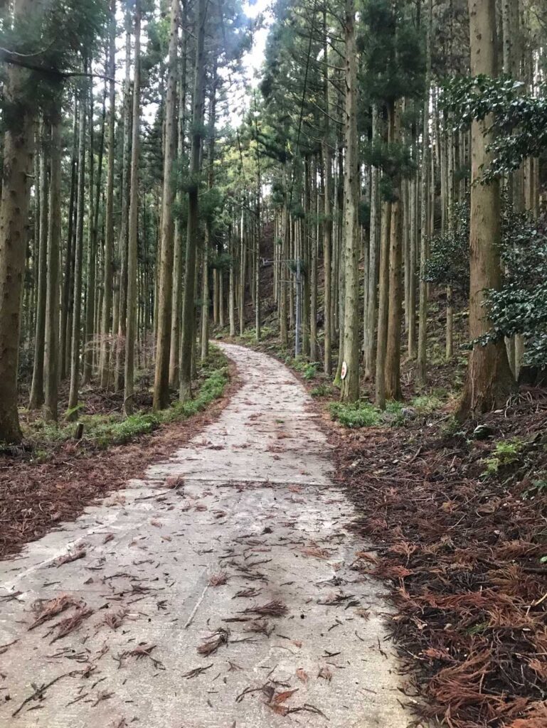 さてコンクリートの道を進んでいきます！！