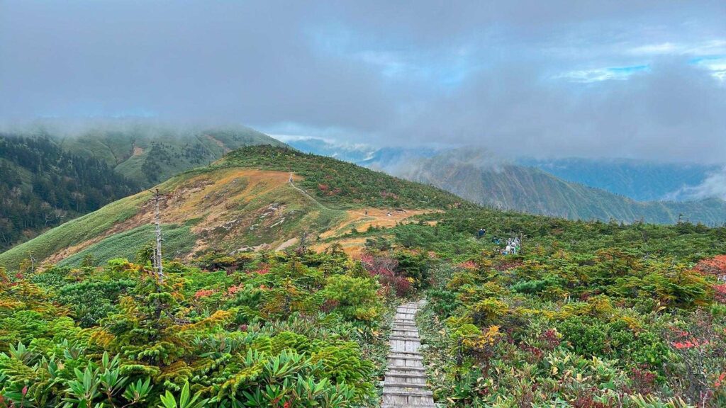 木道からの展望