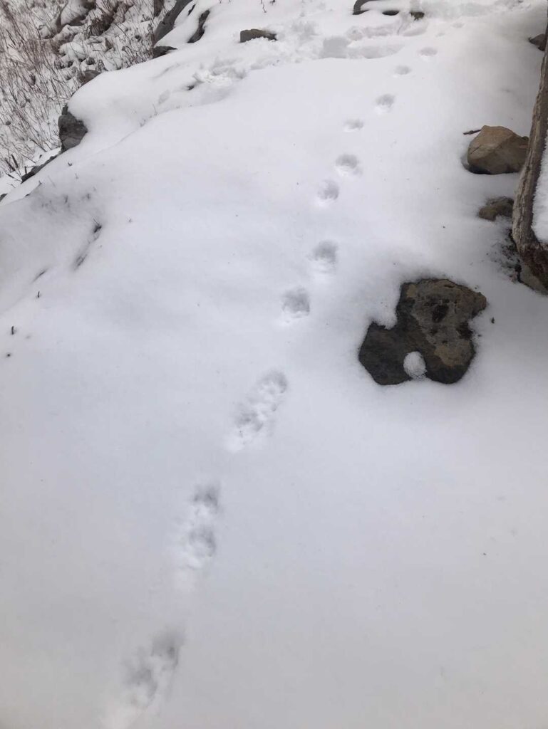 誰かな 証拠が残ってますよー