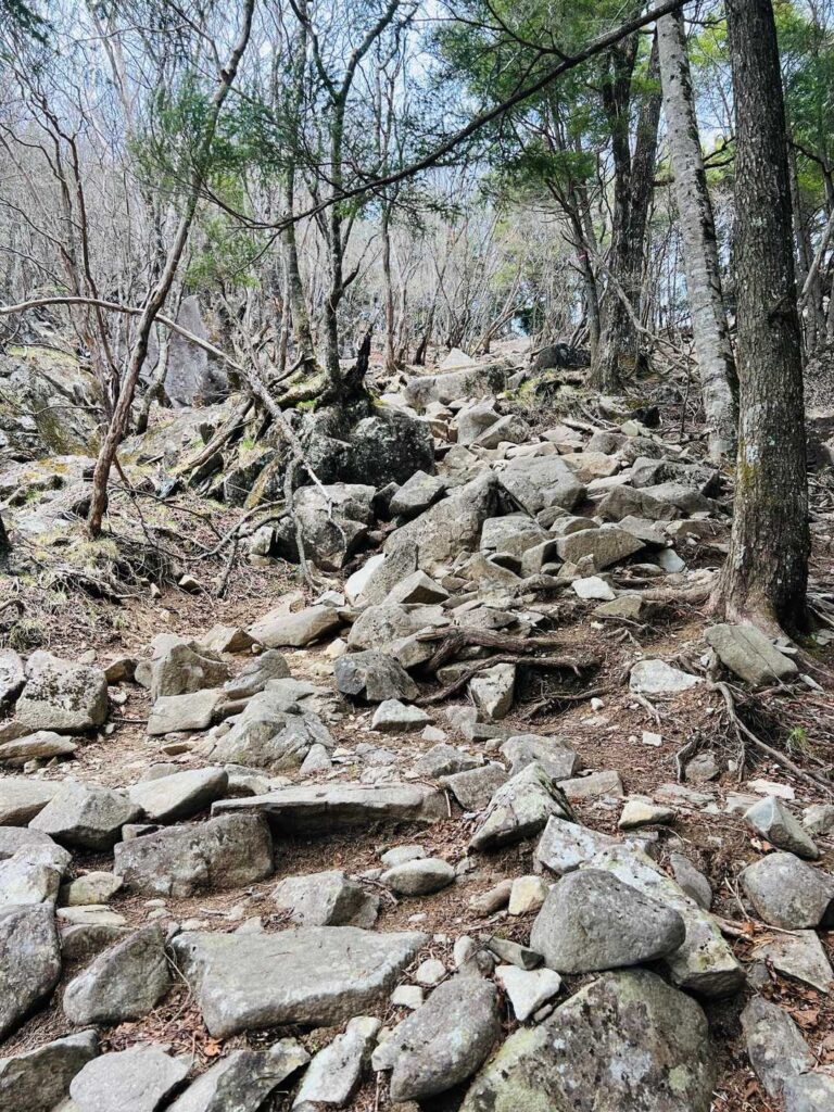 しばらく行くと 岩ゾーンに
