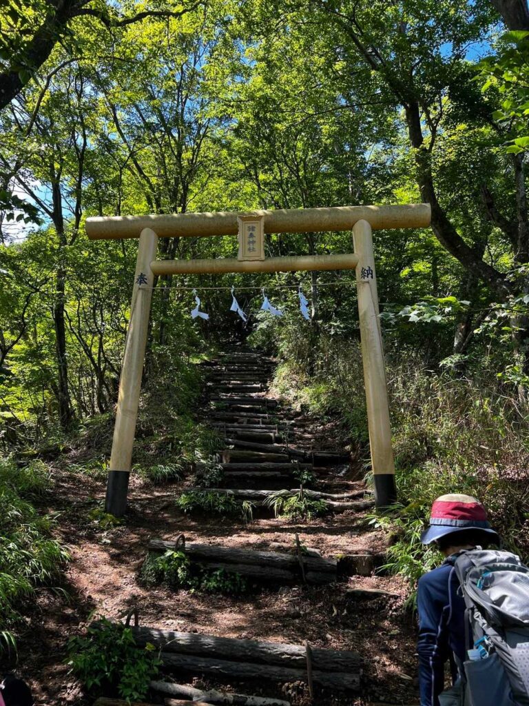 ここから 本格的な登山道に