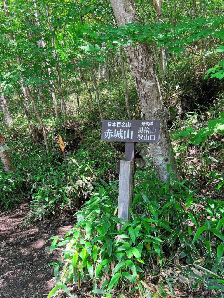 前回と同じ所から