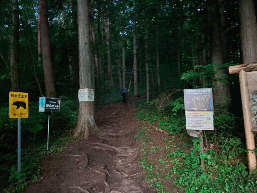 いきなりの急登