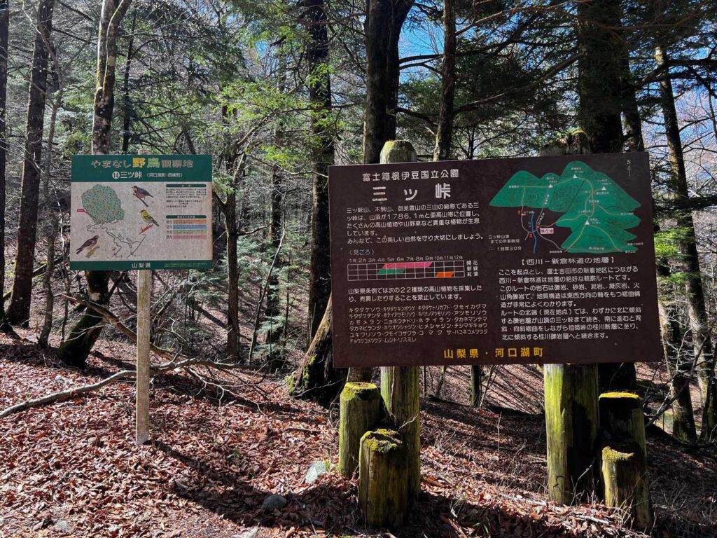 (　・ω・)ﾌﾑﾌﾑ