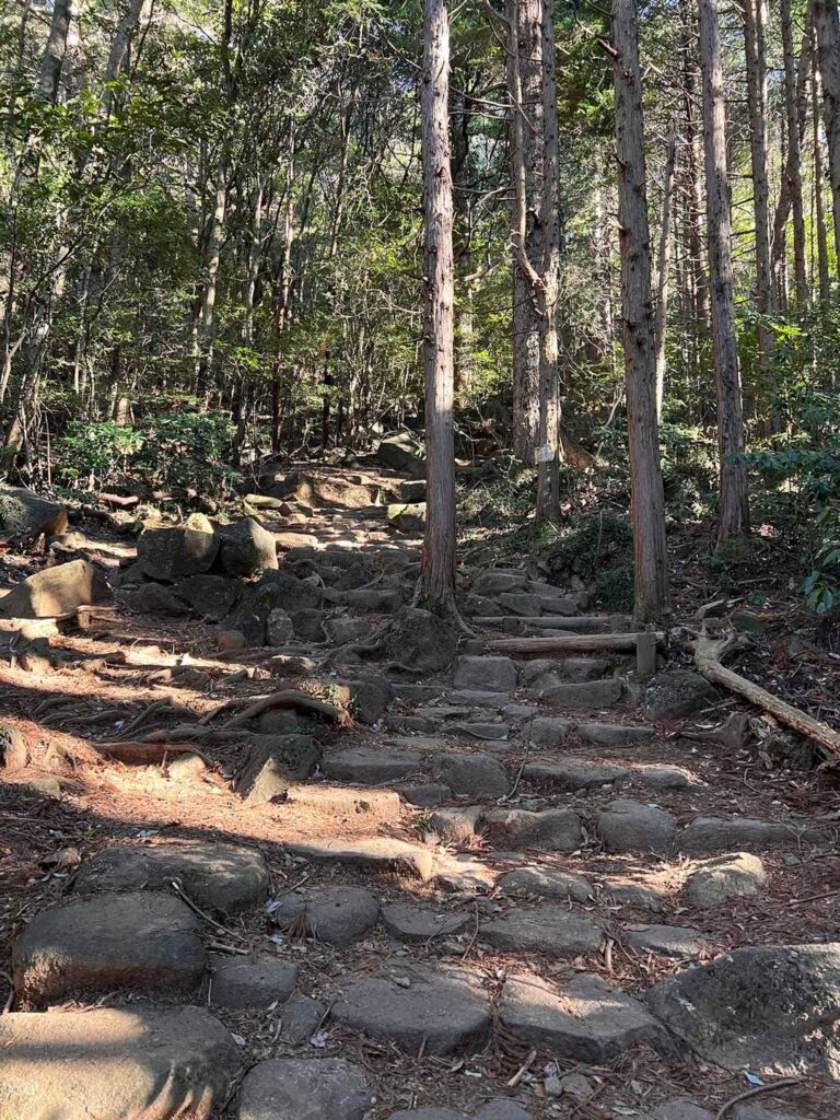 白雲橋コースの階段