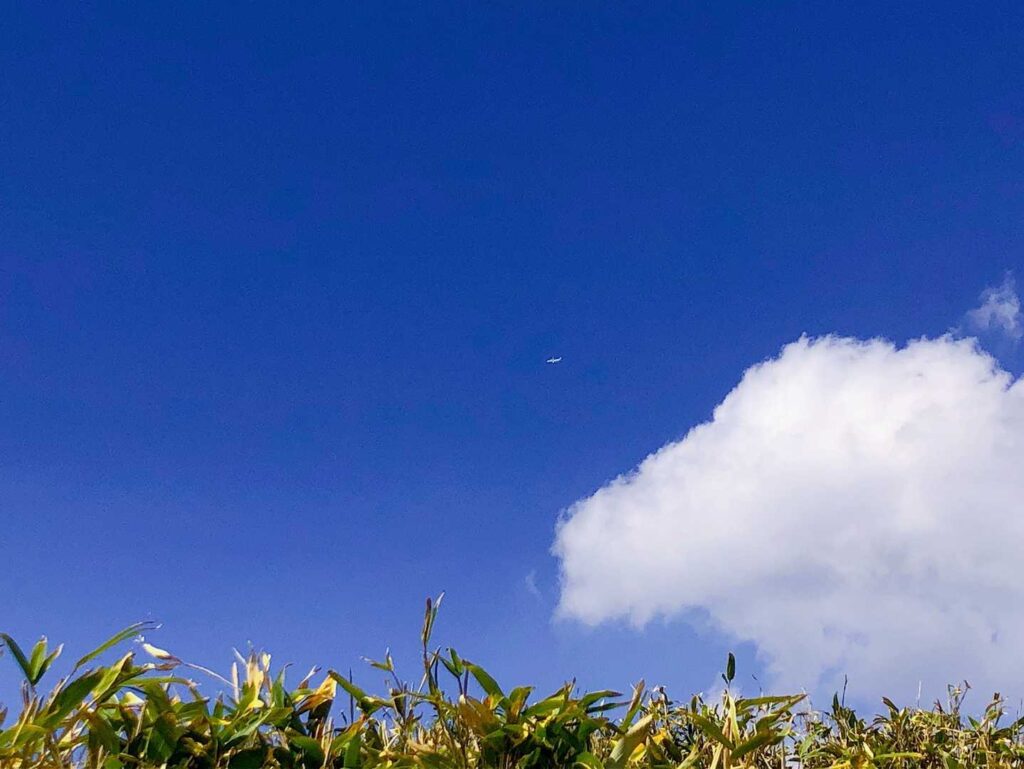 天気も良く青い空に白い雲に