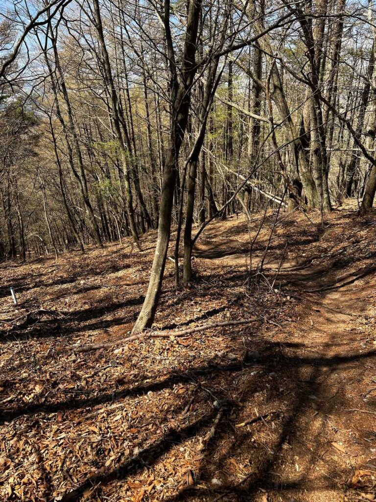 写真じゃわかりにくいけど / 結構な勾配の下りで 乾いていも滑りますね