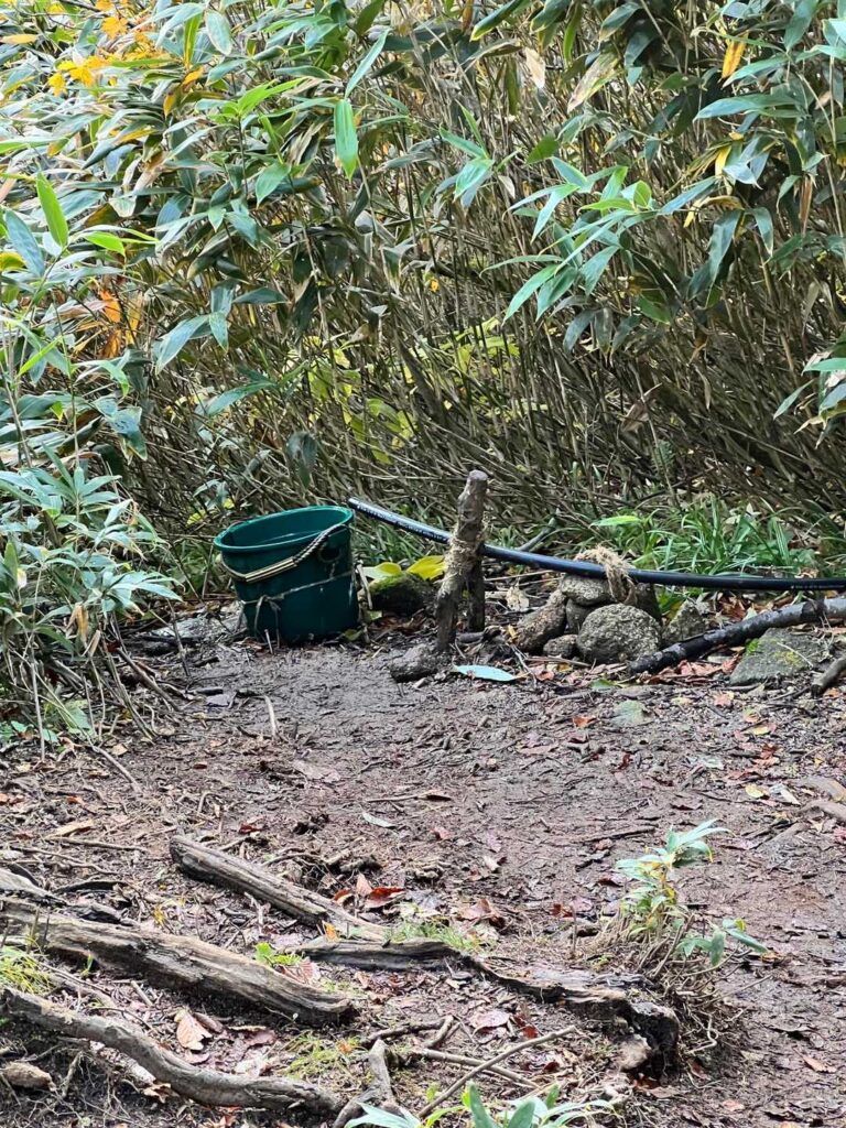 いい朝。遠くの雲海もいい
