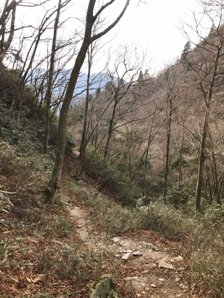 ここまでくると やっとひらけてきました / ボー読み😅