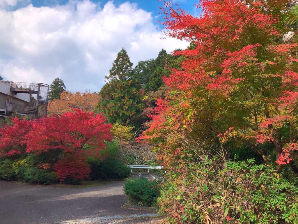 有馬温泉の街並み