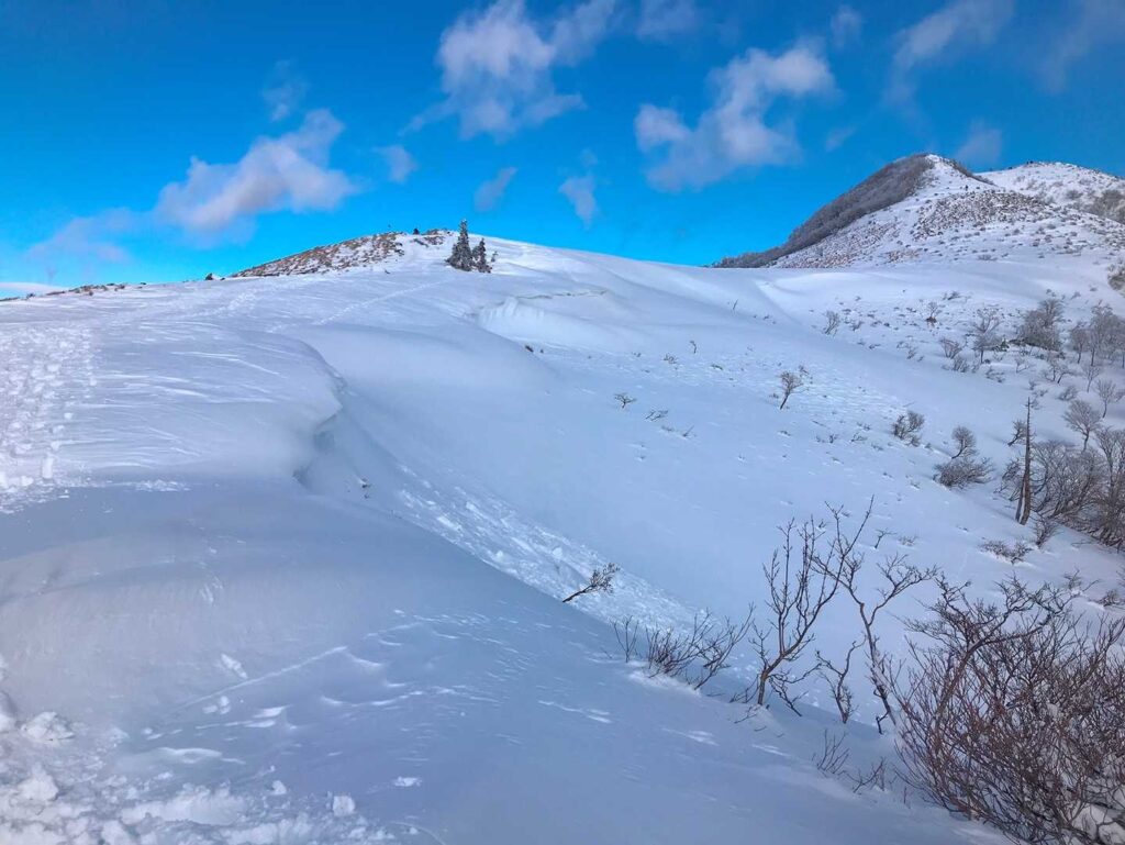 ルンルンでモフモフしながら稜線を歩く