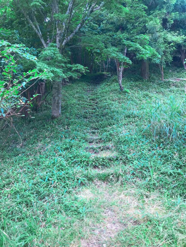 草に覆われた階段