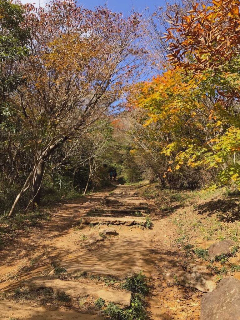 階段を登り終えると山道に
