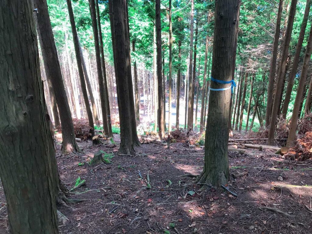 テープが目印かなぁ〜