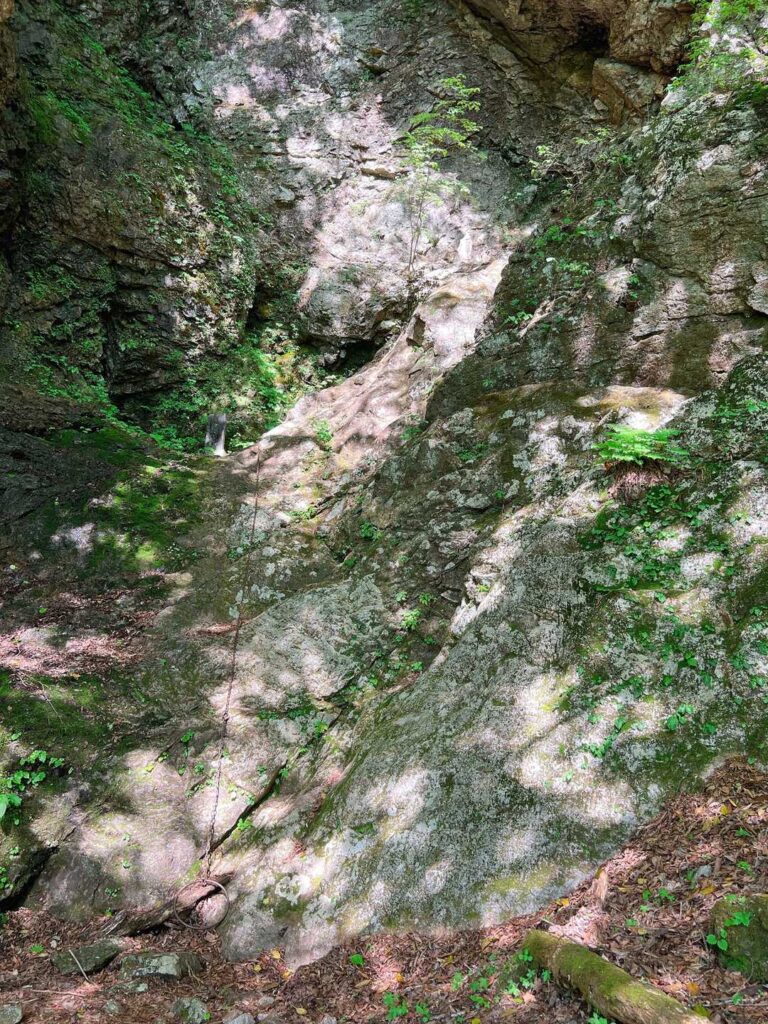 小屋の先の分岐、別の道がある