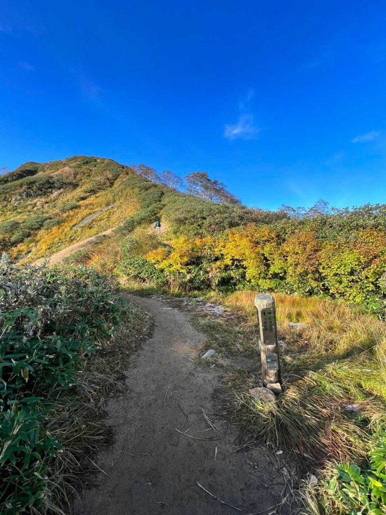 古寺山から続く緩やかな稜線