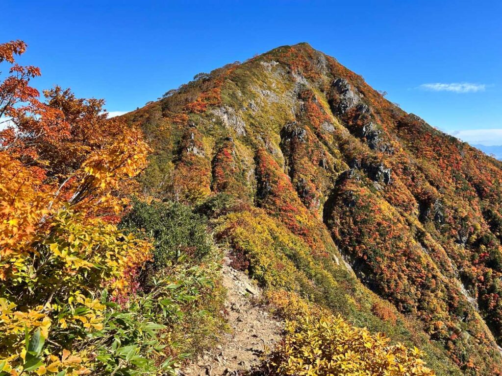 小朝日岳付近の紅葉