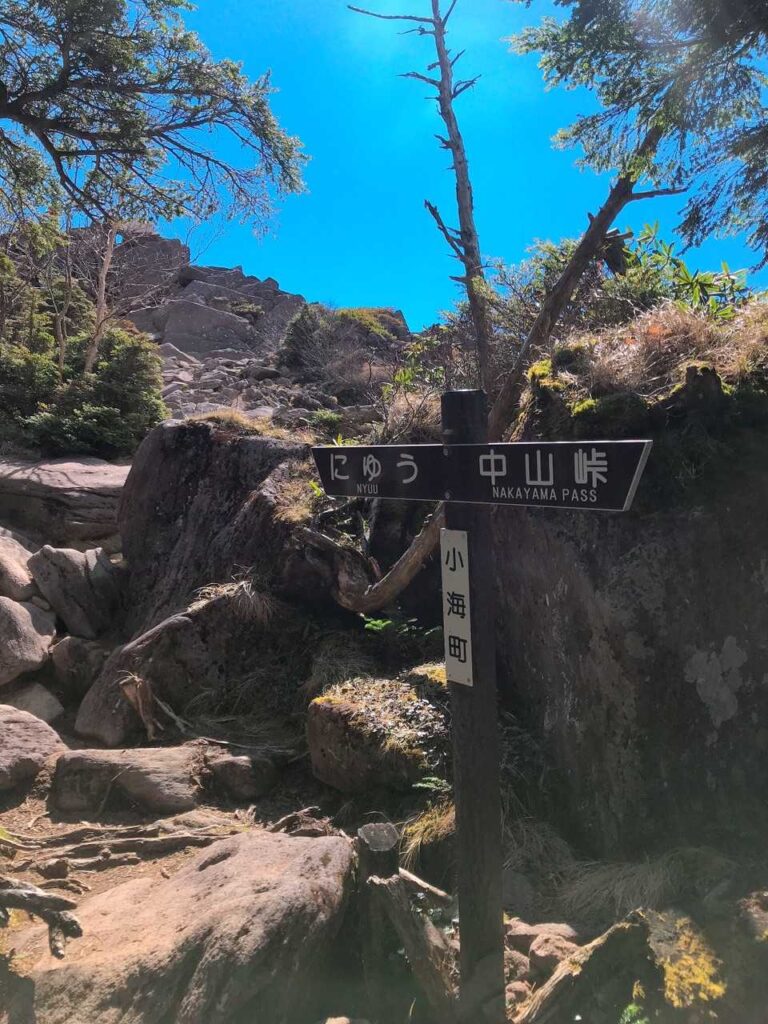 にゅ♡（ニュウに近づいてきた）