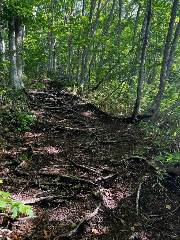 水分を含んだ滑りやすい土