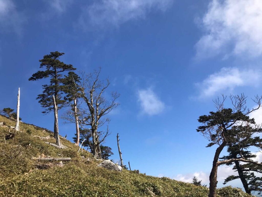 青空が綺麗な登山道
