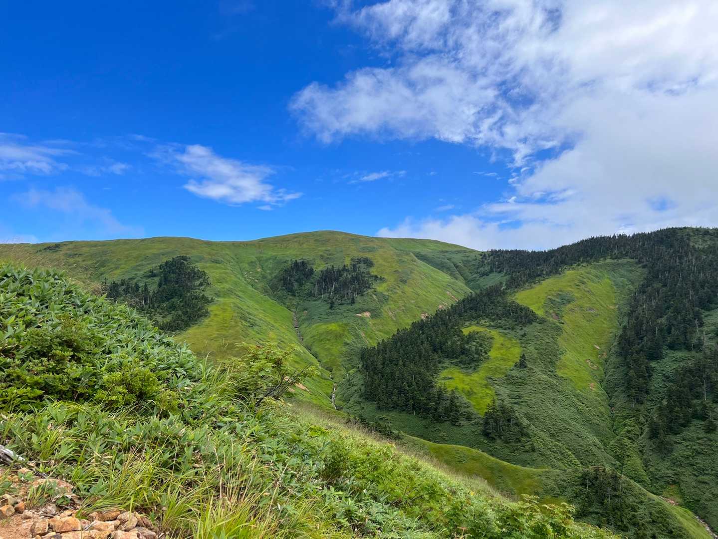 晴れてきたぁ〜