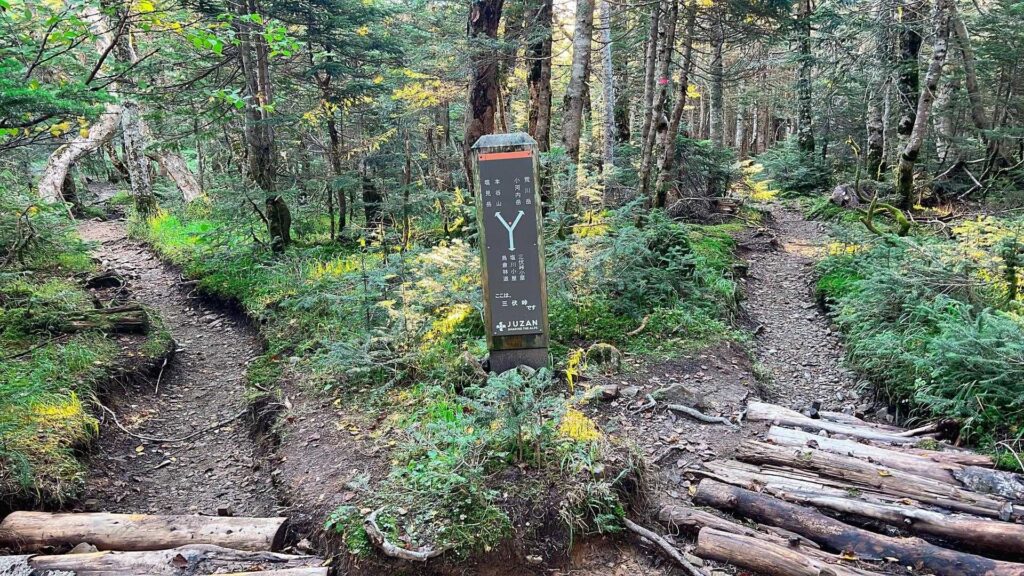 三伏峠の分岐標識