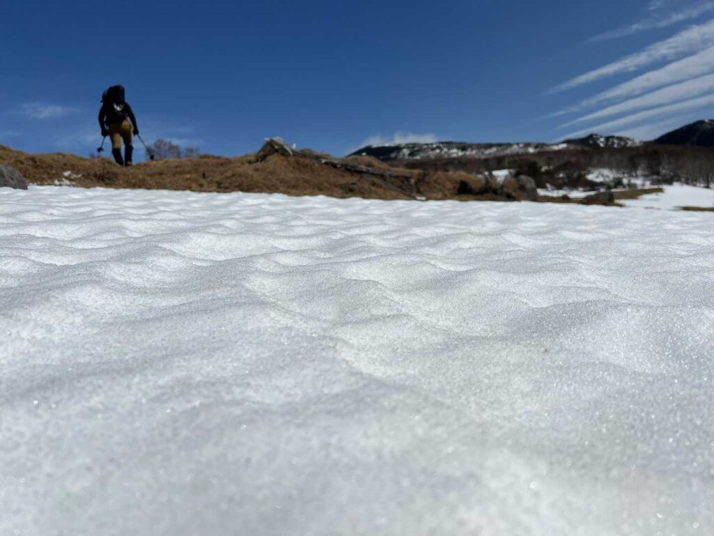 雪面のアップ。3月下旬、雪解けが進む