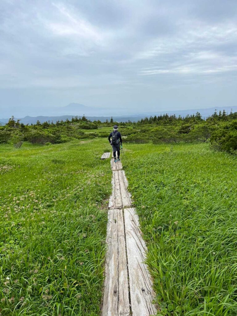 遠くに見える岩木山