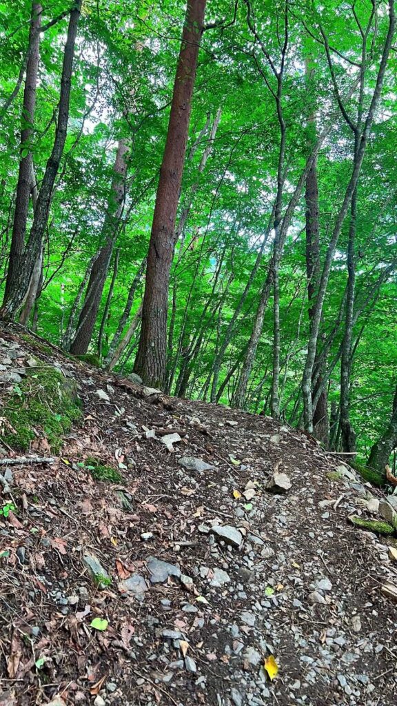 明るくなっても急登が続く