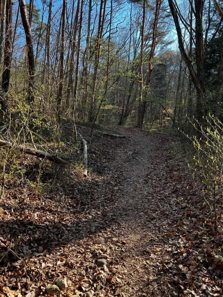 まずは ゆる〜い登り
