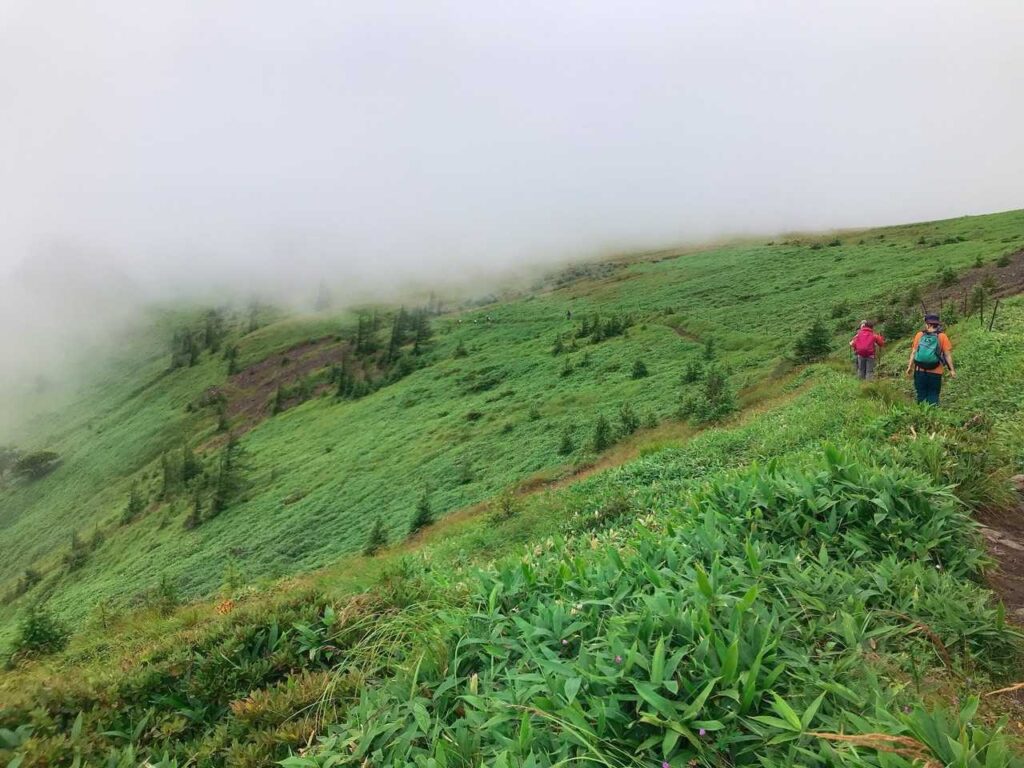 霧の高原を歩く