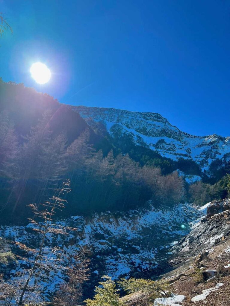 ここかと思ったら もう少し先でした