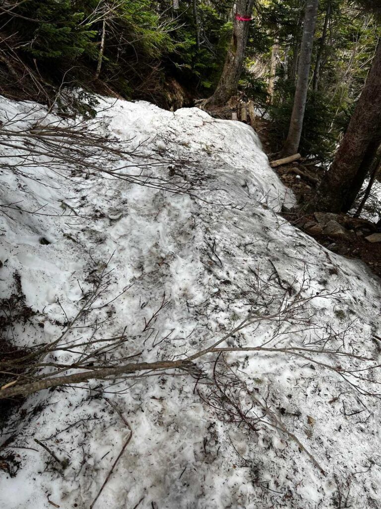 帰りの雪渓は滑りやすい