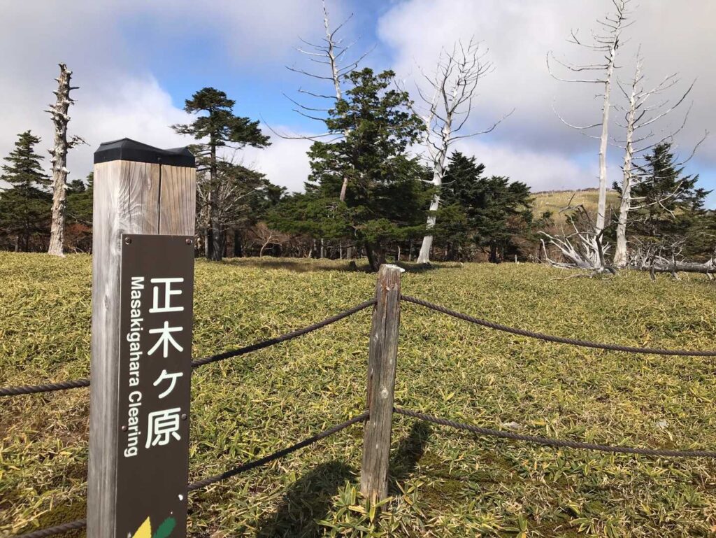 正木ヶ原に到着