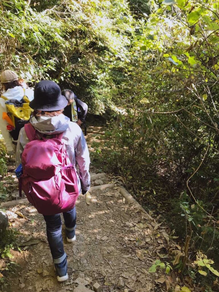 御幸ヶ原コースの下山路