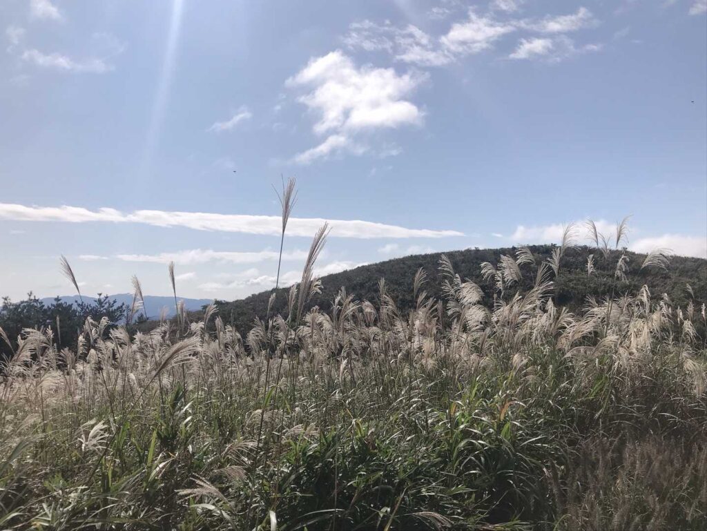 開けた登山道と青空