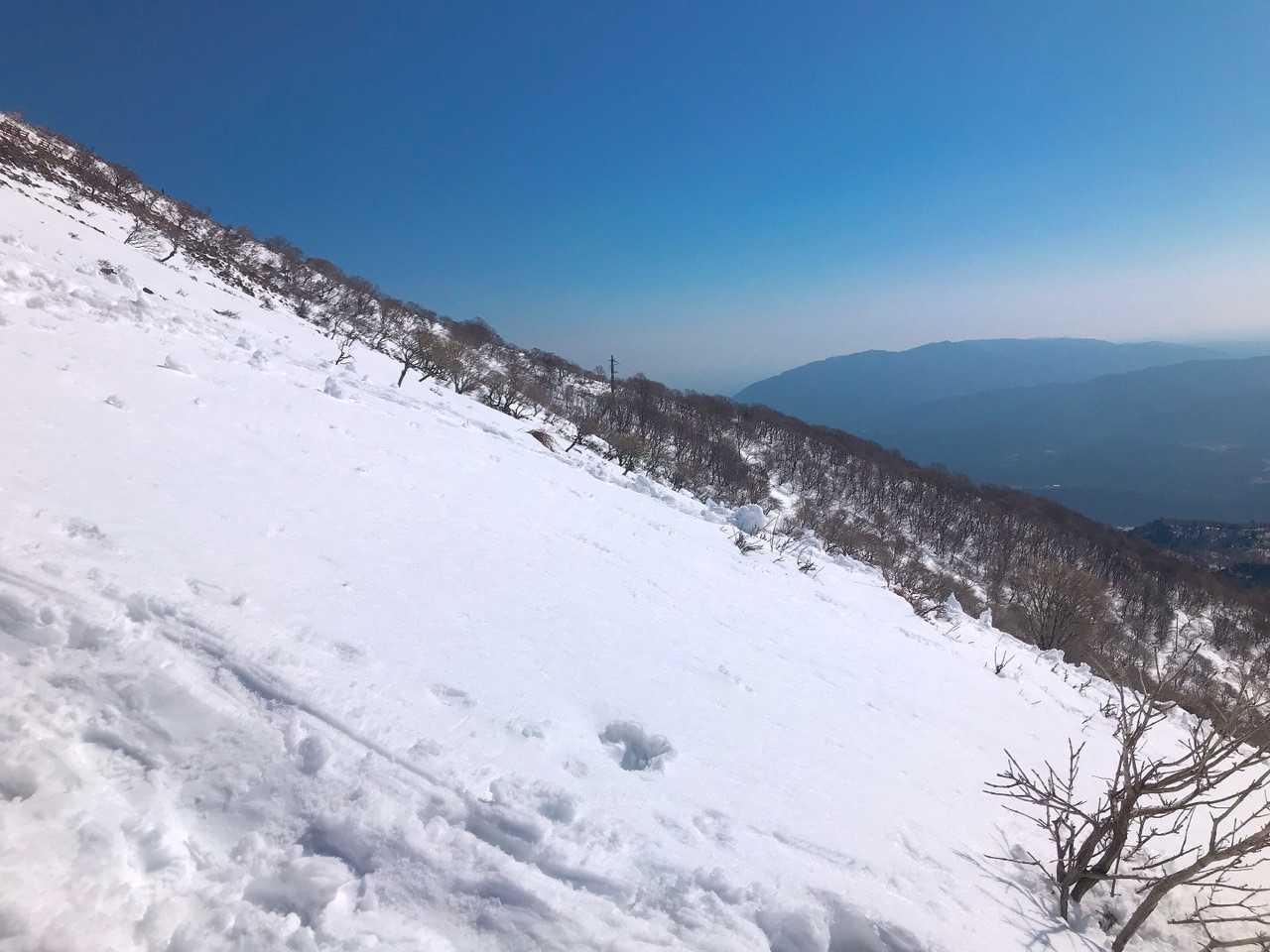 写真では表せない急登！！