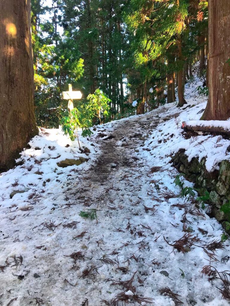 登山口の道標、ここからスタート