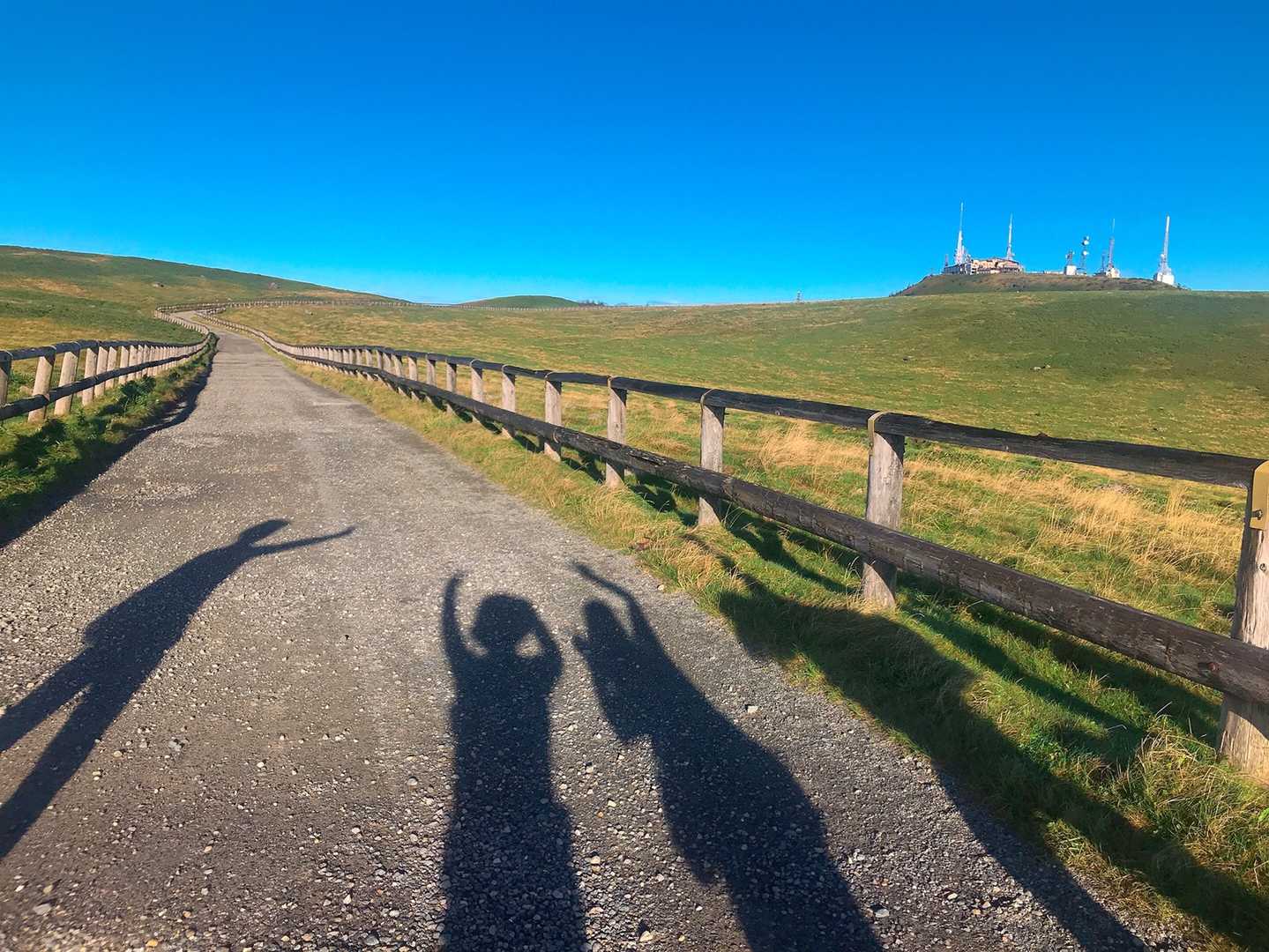 愉快な仲間たち笑