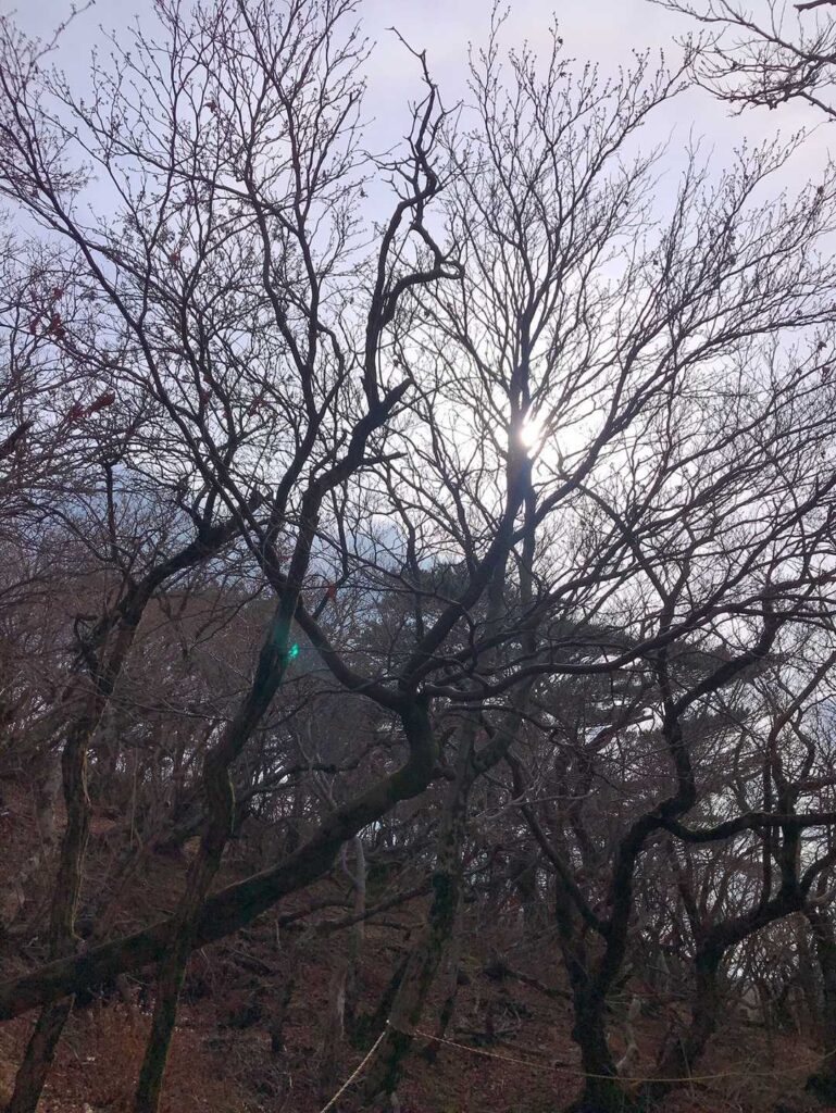 冬の雲が広がる空