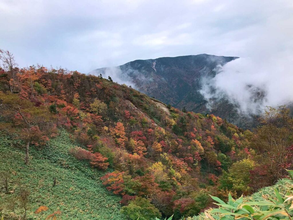 紅葉と雲がかかった山