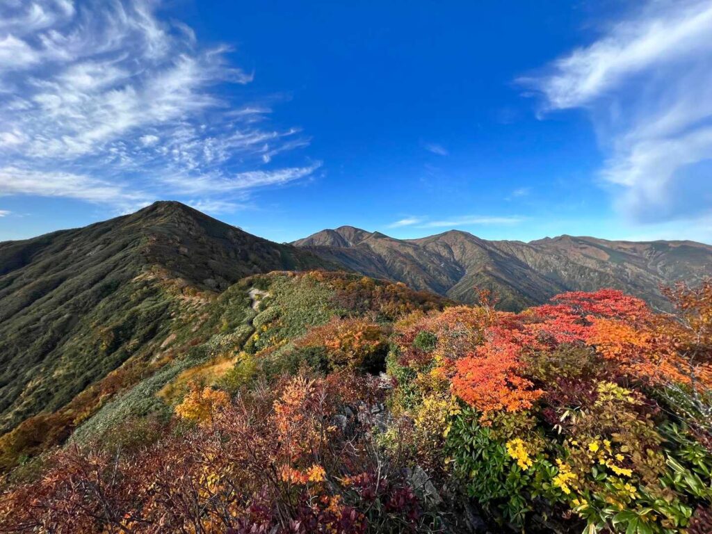 古寺鉱泉駐車場 紅葉シーズンでほぼ満車