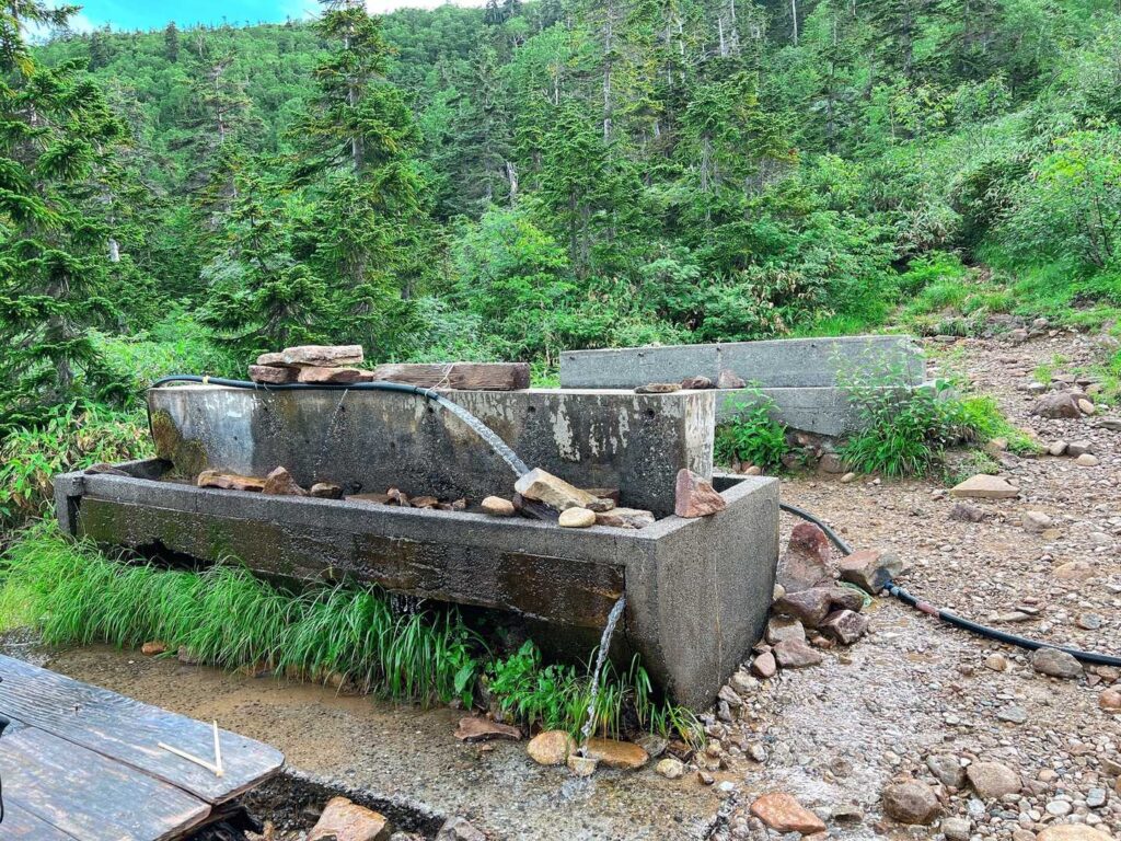 水場で水を補給