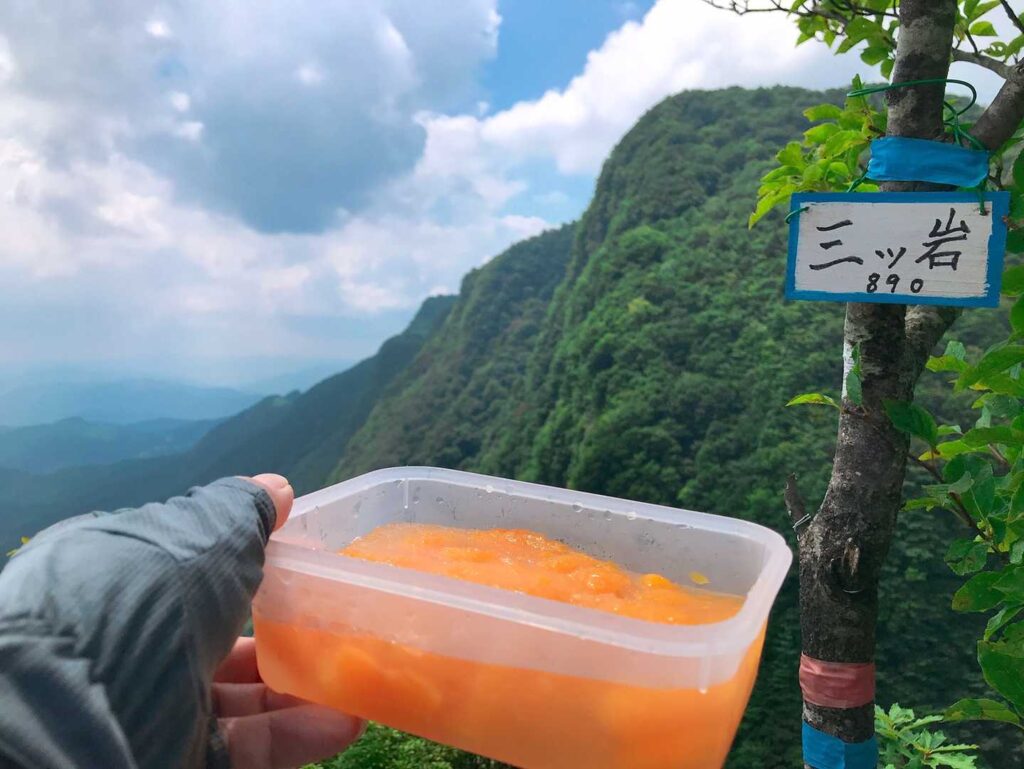 (*´ω`*)ニャハ / 今日のメインDISH‼️ / 凍らせていたので サクサクと冷たたくて美味しっす😁