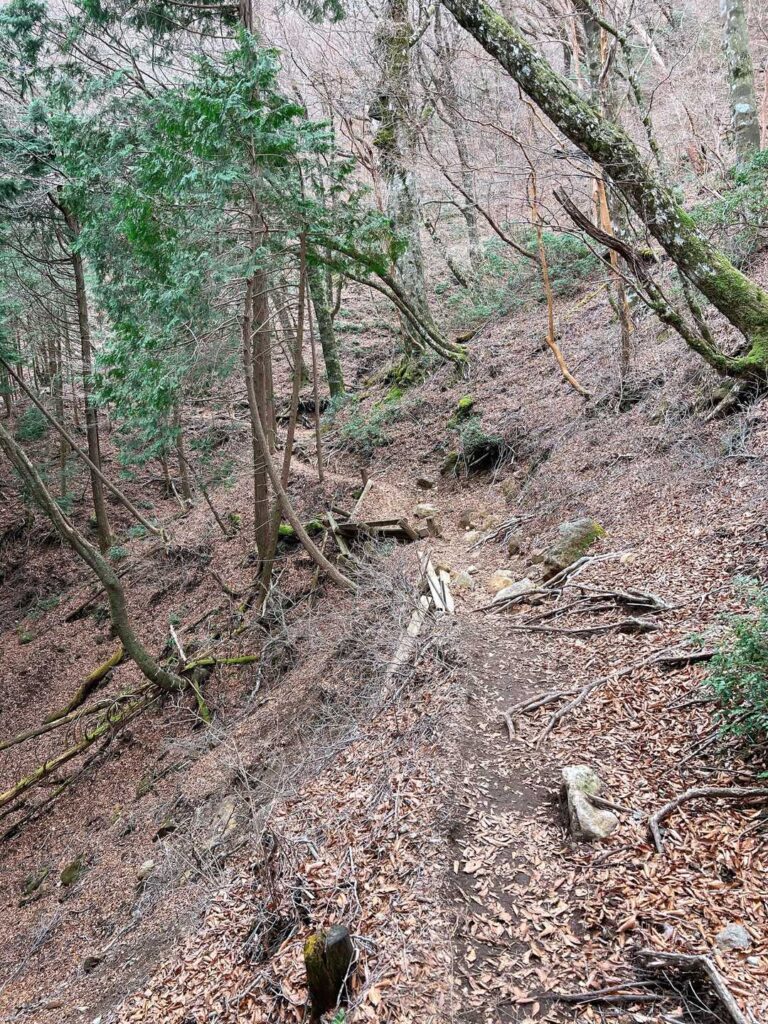 山らしい下山道