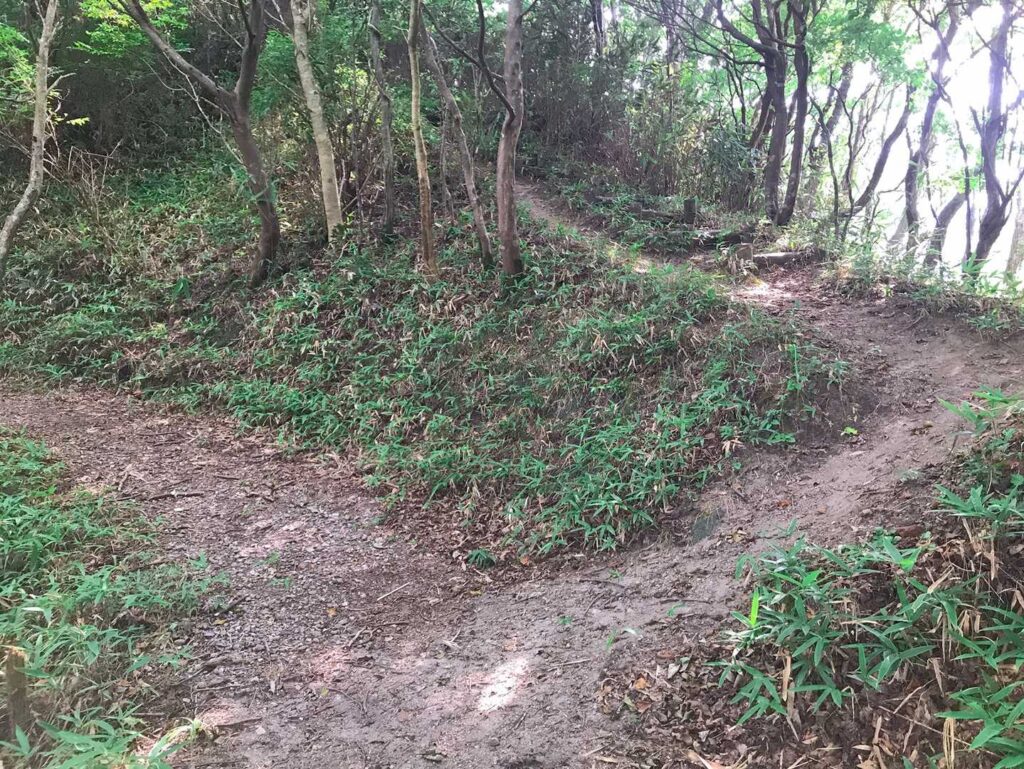 ここ 間違えやすいかも☝️ / 右の細い道に