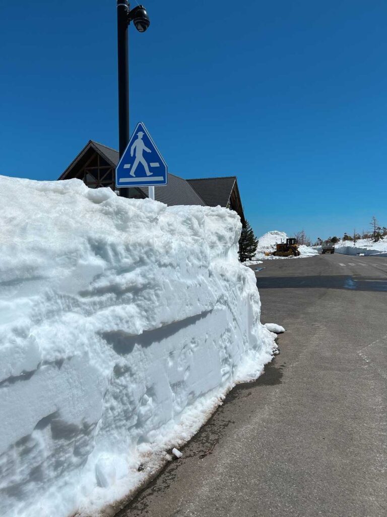 雪に埋もれかけた標識